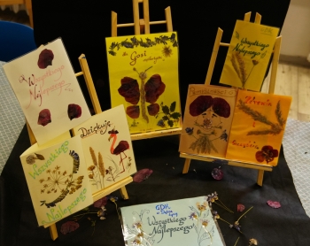 502592354_122229859226242702_5754946754408672173_n