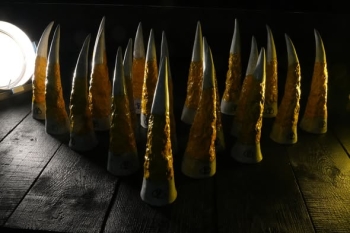 712468853_122299194812242702_7970386296323814428_n