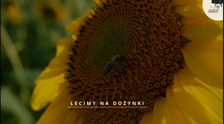 Lecimy na dożynki