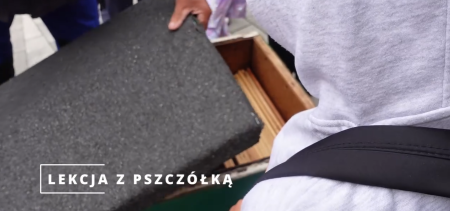 Pszczele lekcje